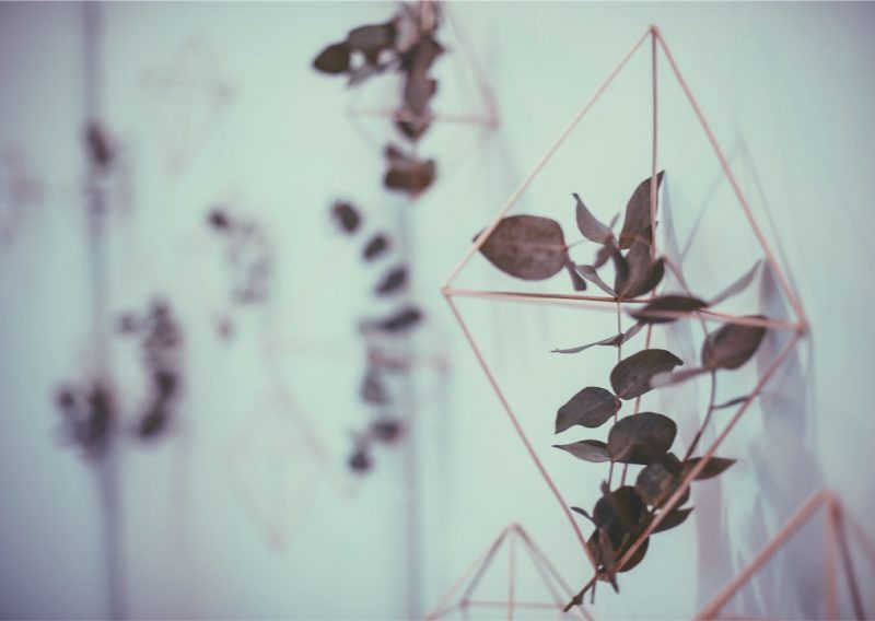 Casamiento Luchi & Emi